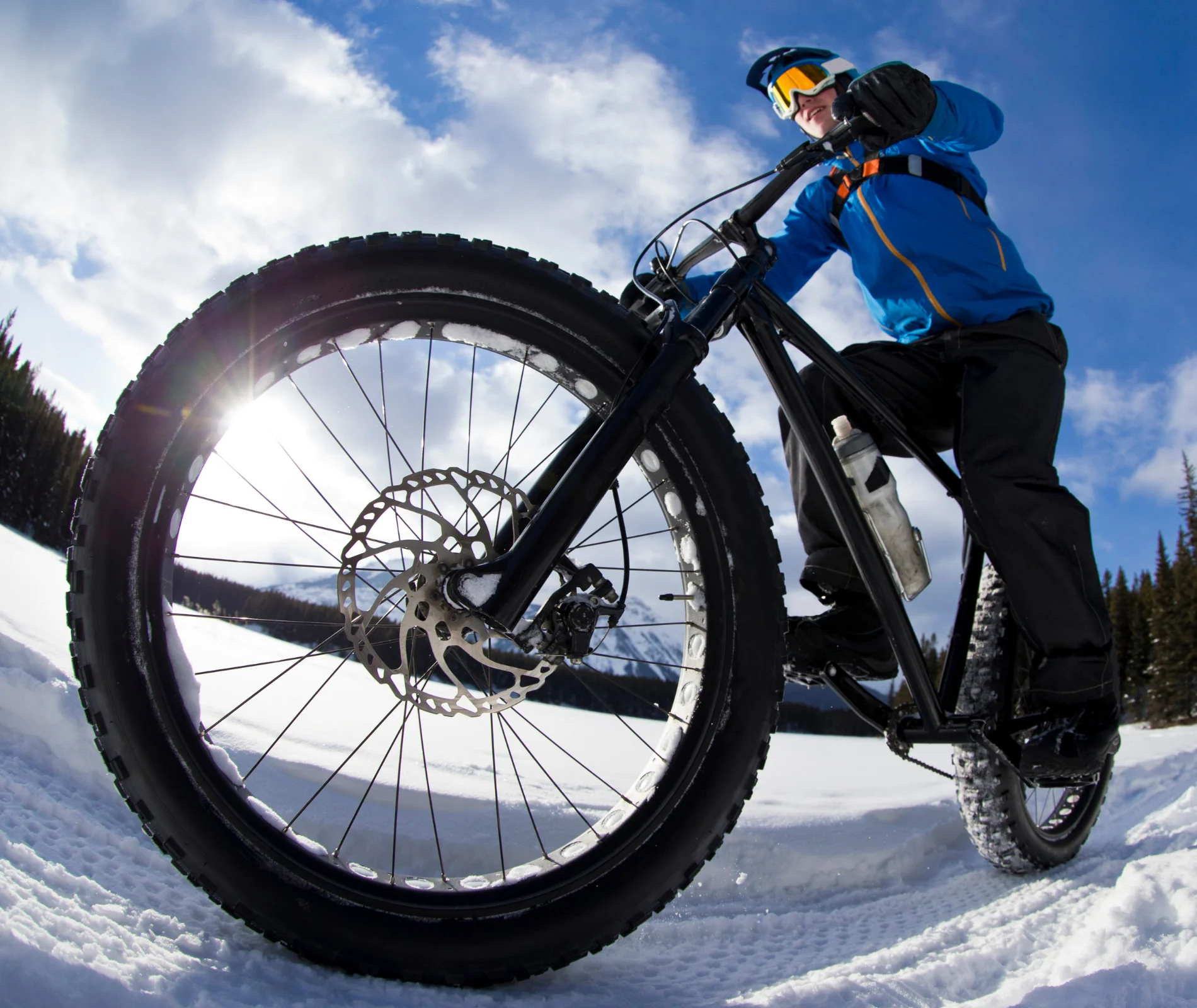 Top Fat Bikes in the USA