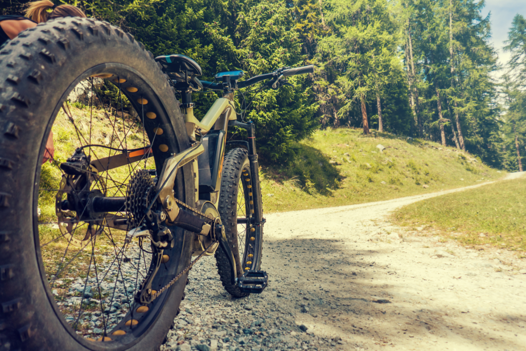 Fat Bike Buyer's Guide