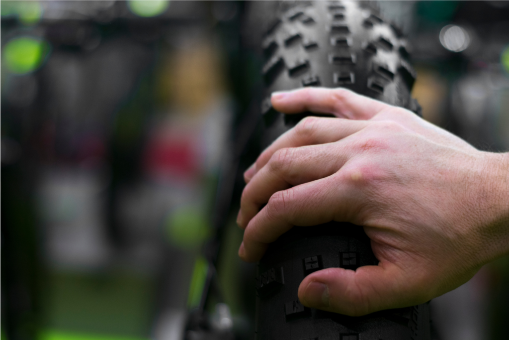 Fat Bike Buyer's Guide